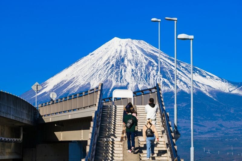 Mount Fuji 5 Must-Visit Instagram Spots Day Tour: Mount Fuji Yume no Ohashi Bridge, Lawson Convenience Store, Arakurayama Sengen Park, Honcho Shopping Street, and Oshino Hakkai (Guided in Chinese or English, Departing from Shinjuku, Tokyo) - Who will enjoy this day most?