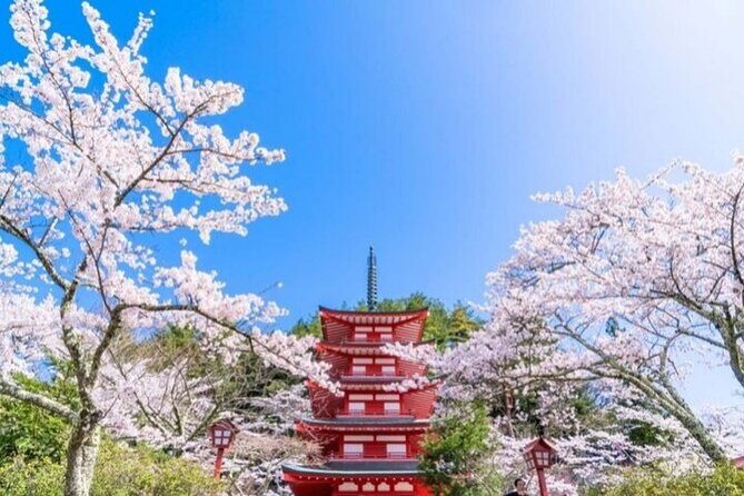 Mount Fuji 5th Station, Arakurayama, Oshino Hakkai and Hot Spring - What Travelers Say: Authentic Perspectives