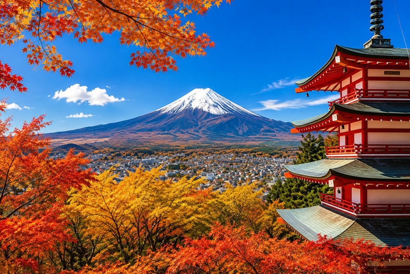 Mount Fuji 6 Major Attractions Day Trip: Popular Photo Spot Route, Multilingual Guide (Departing from Tokyo/Shinjuku) - Six Fuji views without changing hotels