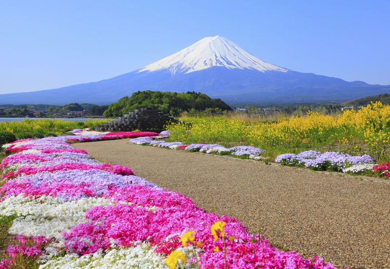 Mount Fuji 9-person small group day tour (departing from Tokyo, driver-guide service, optional hotel pick-up and drop-off) - Weather is the deciding factor