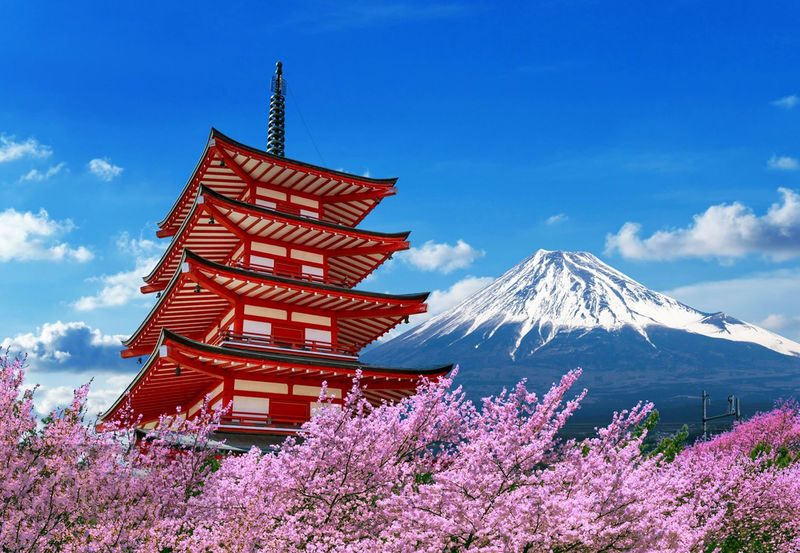 Mount Fuji 9-person small group day tour (departing from Tokyo, driver-guide service, optional hotel pick-up and drop-off) - Who should book this Fuji outing?