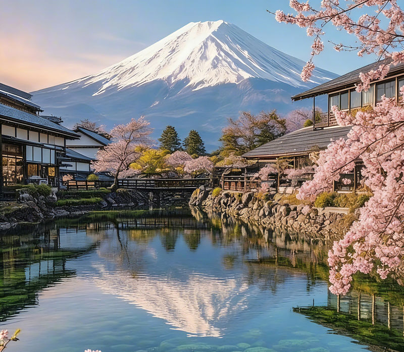 Mount Fuji 9-person small group day tour (departing from Tokyo, driver-guide service, optional hotel pick-up and drop-off) - Booking and cancellation notes