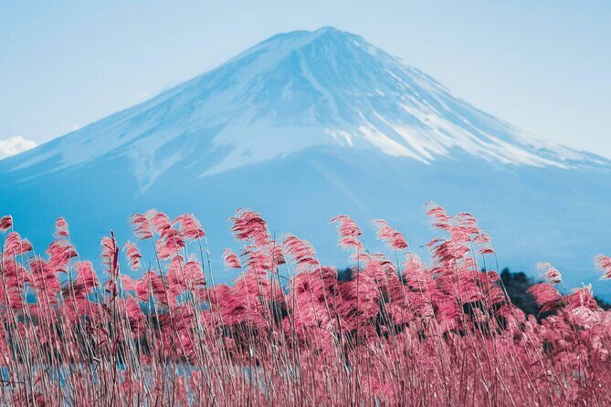 Mount Fuji and Gotemba Outlets Adventure Day Tour - Discover the Magnificence of Mount Fuji and Enjoy a Shopping or Onsen Retreat