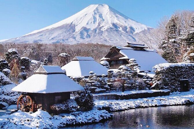 Mount Fuji and Gotemba Outlets Adventure Day Tour - Who Will Love This Tour?