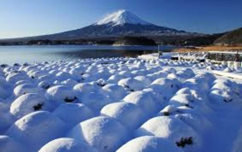Mount Fuji and Hakone Day tour with English speaking Drivers - Key Points
