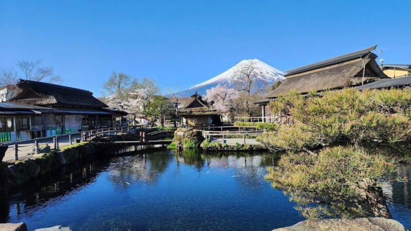 Mount Fuji and Hakone Day tour with English speaking Drivers - Exploring the Details: What to Expect from This Tour