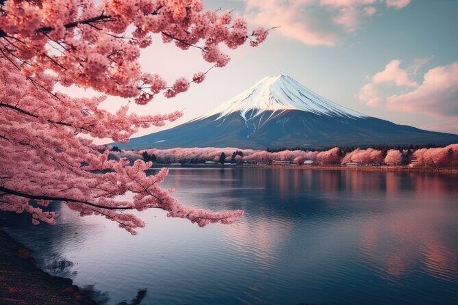 Mount fuji and Hakone Full day private sightseeing tour - Who Should Book This Tour?