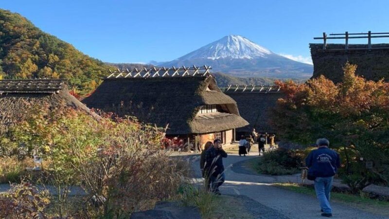 Mount Fuji and Hakone Full Day Private Sightseeing Tour - FAQ