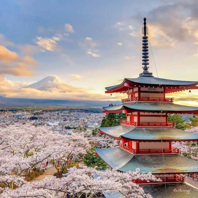 Mount fuji and Hakone full day private tour with English gui - Key Points