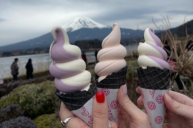 Mount Fuji And Hakone Private Customized English Tour with pickup - Key Points