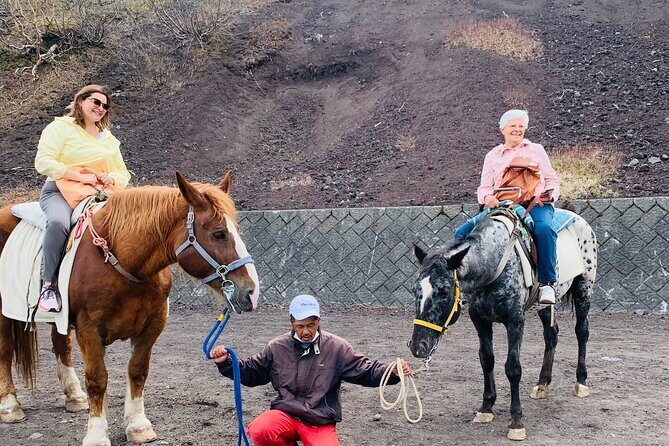 Mount Fuji And Hakone Private Customized English Tour with pickup - Exploring Mount Fuji and Hakone: An In-Depth Look