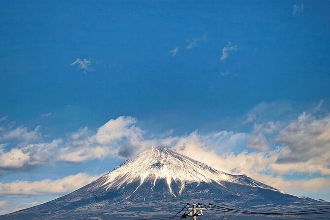 Mount Fuji and Hakone Private Tour with English Speaking Guide - Exploring the Itinerary in Detail