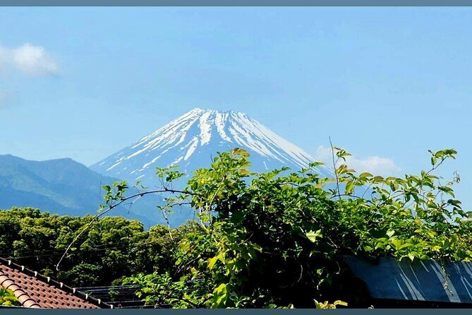 Mount Fuji and Hakone Private Tour with English Speaking Guide - FAQ