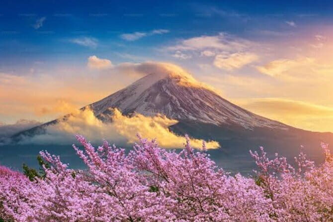 Mount Fuji and Hakone Private Tour with Pickup from Tokyo - FAQ