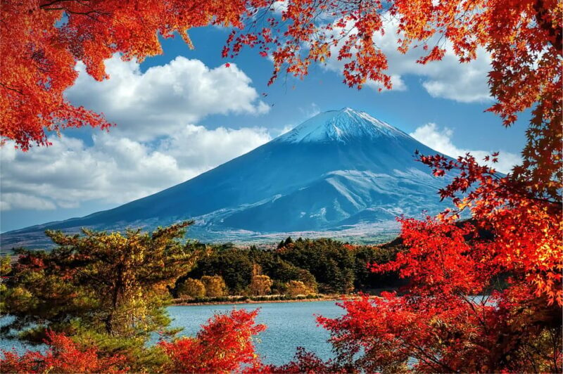 Mount Fuji and Hakone Tour with Personal Driver & Transport - What to Expect: The Practical Side
