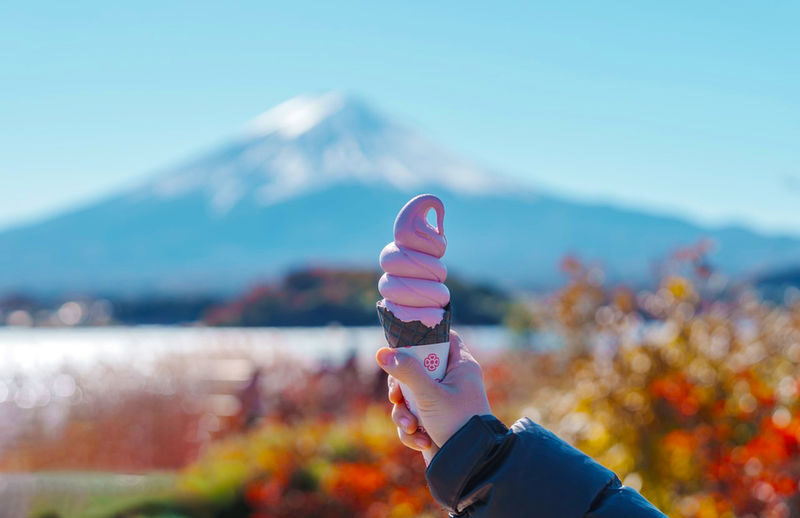 Mount Fuji and Lake Kawaguchi Panoramic Day Trip - Includes Mount Tenjo Park Ropeway Ticket (From Tokyo) - From Tokyo to the Fuji Five Lakes