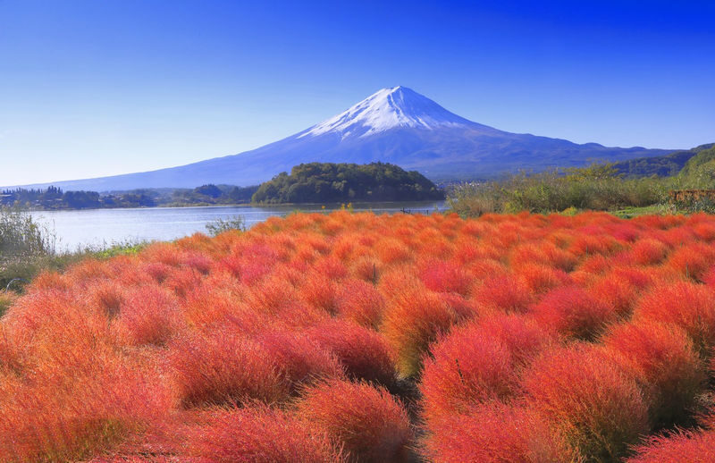 Mount Fuji and Lake Kawaguchi Panoramic Day Trip - Includes Mount Tenjo Park Ropeway Ticket (From Tokyo) - Is the price good value?