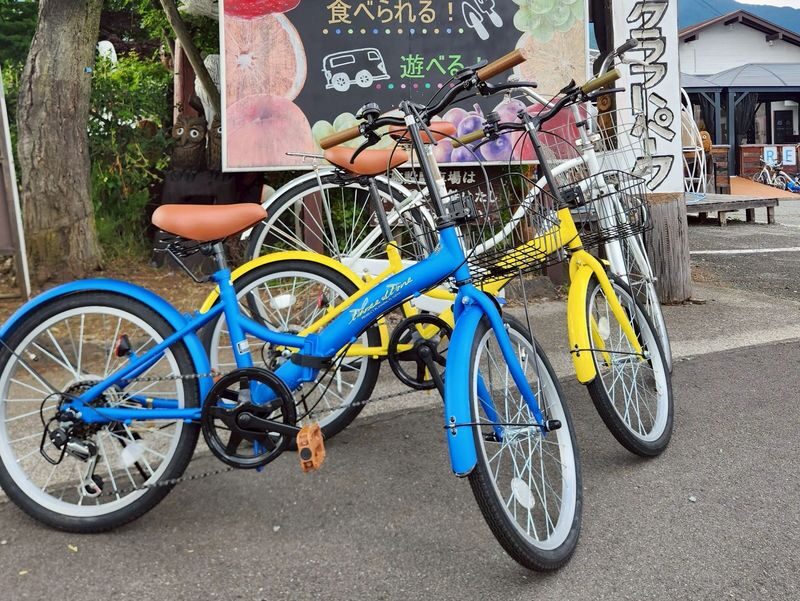 Mount Fuji and Lake Kawaguchi Scenic Sightseeing - Bicycle Rental & Lake Kawaguchi Cruising - A lake ride, not a guided tour
