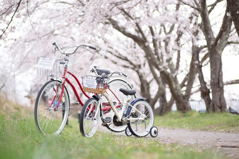 Mount Fuji and Lake Kawaguchi Scenic Sightseeing - Bicycle Rental & Lake Kawaguchi Cruising - Starting at Kawaguchiko Craft Park