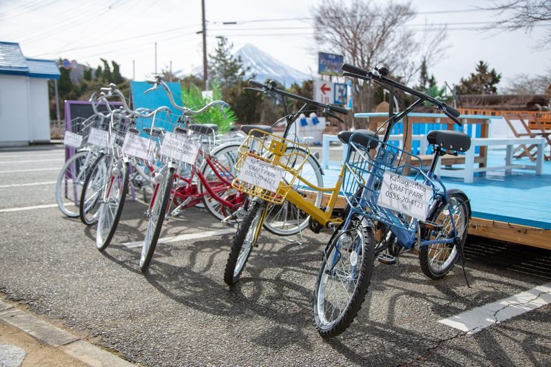 Mount Fuji and Lake Kawaguchi Scenic Sightseeing - Bicycle Rental & Lake Kawaguchi Cruising - Who should rent, and who should skip it