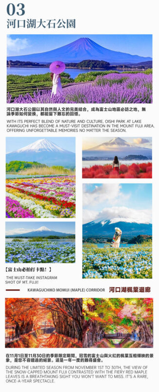 Mount Fuji and Lake Sai One-Day Tour: Arakurayama Sengen Park, Oshino Hakkai, and Lake Kawaguchi Oishi Park (Departing from Tokyo, Limited Lunch Included) - Oishi Park: lake views and seasonal color
