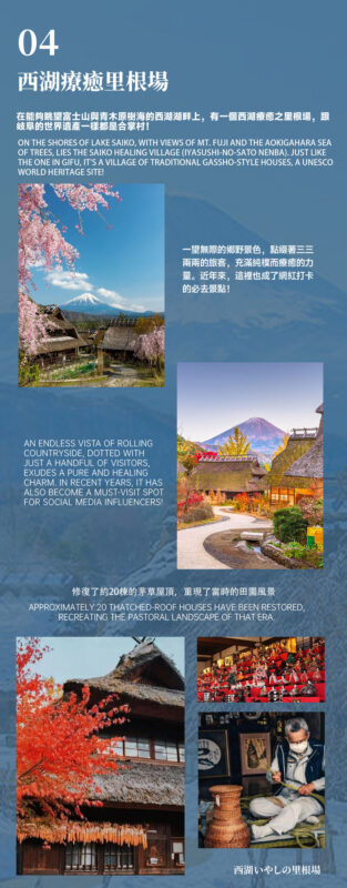 Mount Fuji and Lake Sai One-Day Tour: Arakurayama Sengen Park, Oshino Hakkai, and Lake Kawaguchi Oishi Park (Departing from Tokyo, Limited Lunch Included) - Lunch: check what your package actually includes