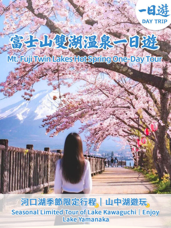 Mount Fuji and Shibazakura Festival Full-Day Flower Viewing Tour - From Tokyo: a full day on the road