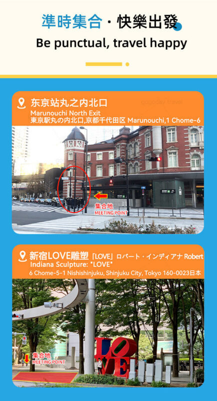 Mount Fuji and Shibazakura Festival Full-Day Flower Viewing Tour - Lake Yamanaka: swans, a boat, or a hot spring
