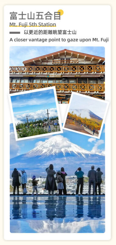 Mount Fuji and Shibazakura Festival Full-Day Flower Viewing Tour - Lunch and the real cost of the day