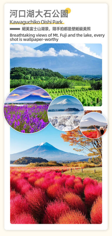 Mount Fuji and Shibazakura Festival Full-Day Flower Viewing Tour - Who will get the best value