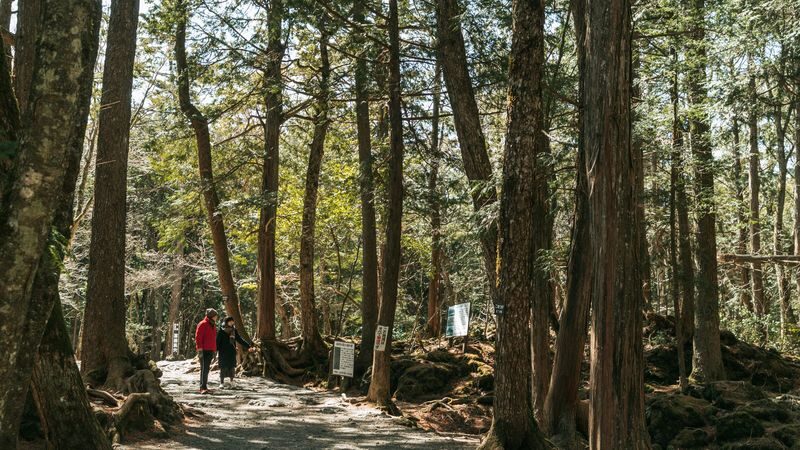 Mount Fuji & Aokigahara Hidden Gems Full-Day Private Tour - At a glance