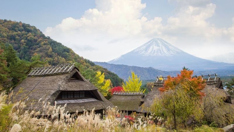 Mount Fuji & Aokigahara Hidden Gems Full-Day Private Tour - Fuji views are a bonus, not a promise