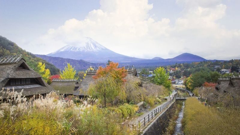 Mount Fuji & Aokigahara Hidden Gems Full-Day Private Tour - A private driver can simplify a complicated day