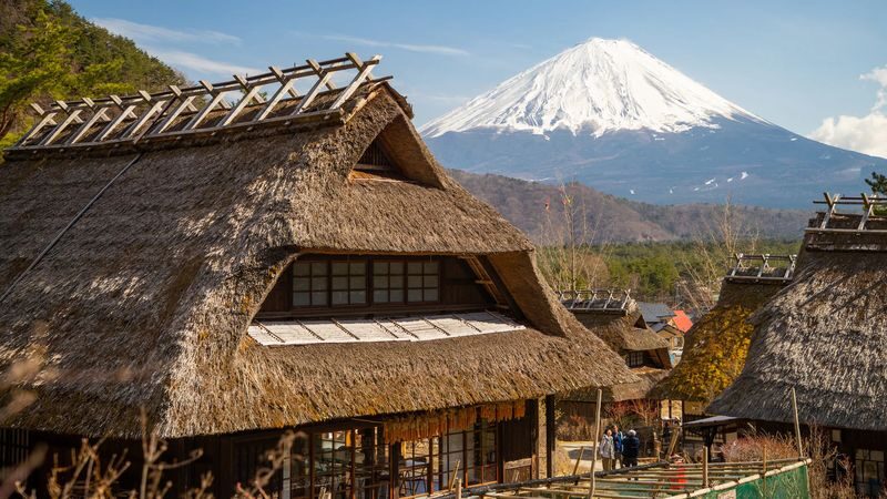 Mount Fuji & Aokigahara Hidden Gems Full-Day Private Tour - The pace is a selling point
