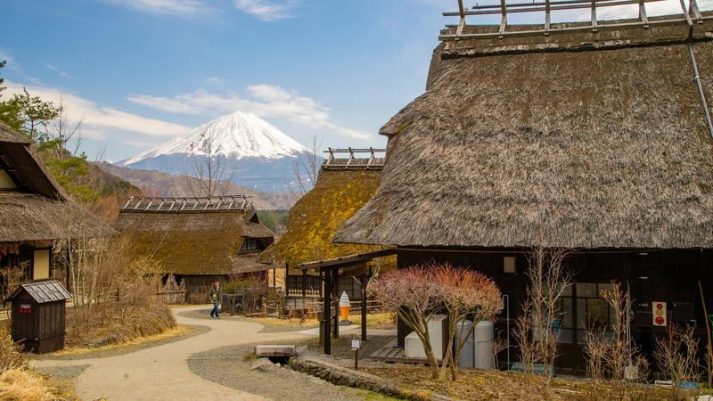 Mount Fuji & Aokigahara Hidden Gems Full-Day Private Tour - What the $349 starting price means