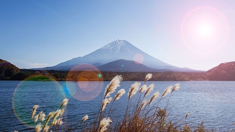 Mount Fuji & Aokigahara Hidden Gems Full-Day Private Tour - Who will get the most from this day