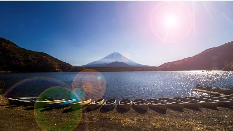 Mount Fuji & Aokigahara Hidden Gems Full-Day Private Tour - Booking details worth checking