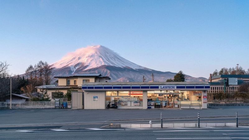Mount Fuji Brilliant Scenery One-Day Tour (Departing from Tokyo) - What the $49.29 starting price covers