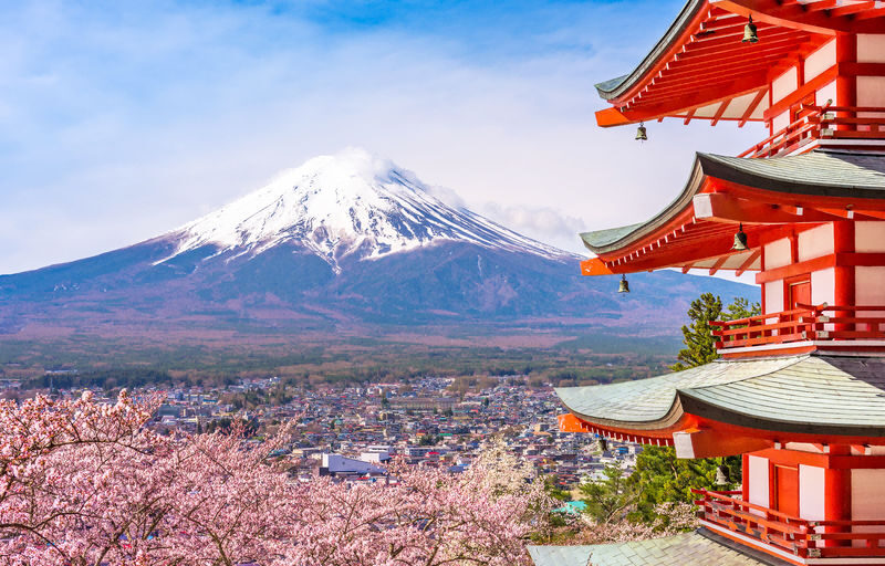 Mount Fuji Classic Day Tour: Arakurayama Sengen Park/5th Station & Lake Kawaguchiko for Cherry Blossoms in Spring and Autumn Leaves in Autumn. Round trip from Tokyo. Hotel pickup and drop-off can be added. (Chinese service) - At a glance