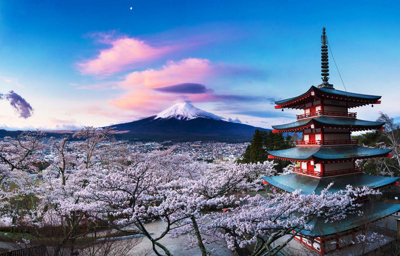 Mount Fuji Classic Day Tour: Arakurayama Sengen Park/5th Station & Lake Kawaguchiko for Cherry Blossoms in Spring and Autumn Leaves in Autumn. Round trip from Tokyo. Hotel pickup and drop-off can be added. (Chinese service) - What this Mount Fuji day trip is best at