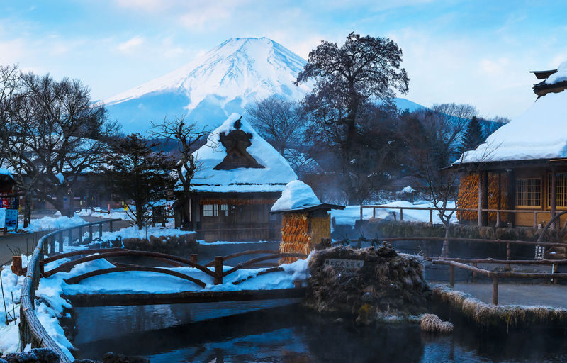 Mount Fuji Classic Day Tour: Arakurayama Sengen Park/5th Station & Lake Kawaguchiko for Cherry Blossoms in Spring and Autumn Leaves in Autumn. Round trip from Tokyo. Hotel pickup and drop-off can be added. (Chinese service) - Kawaguchiko’s seasonal colors