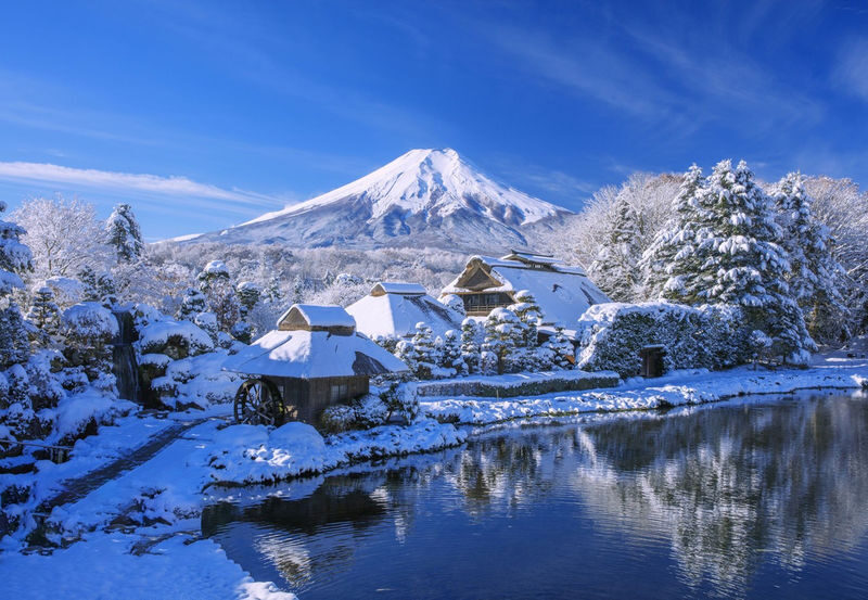 Mount Fuji Classic Route: Lake Kawaguchiko & Lawson Convenience Store & Arakurayama Sengen Park Day Trip (Departing from Tokyo | Optional Hotel Pick-up and Drop-off) - Oishi Park, or a seasonal alternative