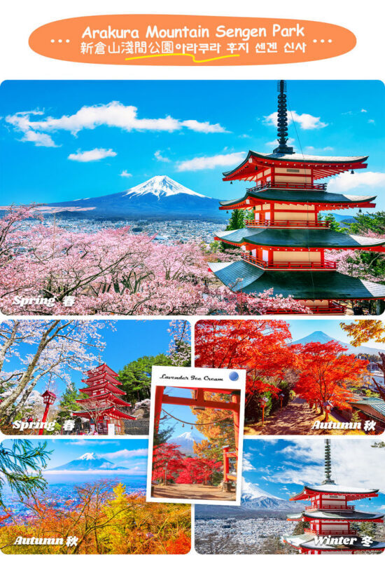 Mount Fuji Classic Tour | Arakurayama Sengen Park/Mount Fuji 5th Station, Oshino Hakkai & Gotemba Premium Outlets/Hot Spring Day Trip | Depart from Tokyo/Shinjuku - What the bus day feels like