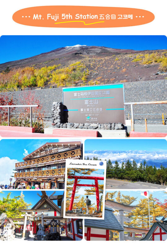 Mount Fuji Classic Tour | Arakurayama Sengen Park/Mount Fuji 5th Station, Oshino Hakkai & Gotemba Premium Outlets/Hot Spring Day Trip | Depart from Tokyo/Shinjuku - Is the price good value?