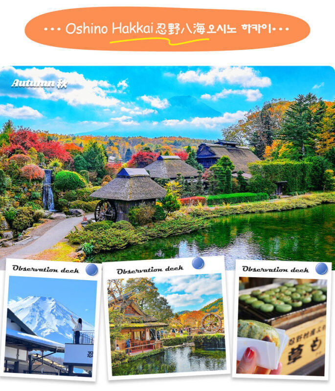 Mount Fuji Classic Tour | Arakurayama Sengen Park/Mount Fuji 5th Station, Oshino Hakkai & Gotemba Premium Outlets/Hot Spring Day Trip | Depart from Tokyo/Shinjuku - Who should book this Mount Fuji day trip?