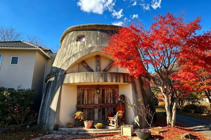 Mount Fuji Classic Twin Lakes Autumn Leaves Day Tour | Kawaguchiko Autumn Leaves Corridor & Lake Yamanaka Swan Boat Experience (Includes Swan Boat Ticket) | Departing from Tokyo - What the coach format gives you, and what it costs