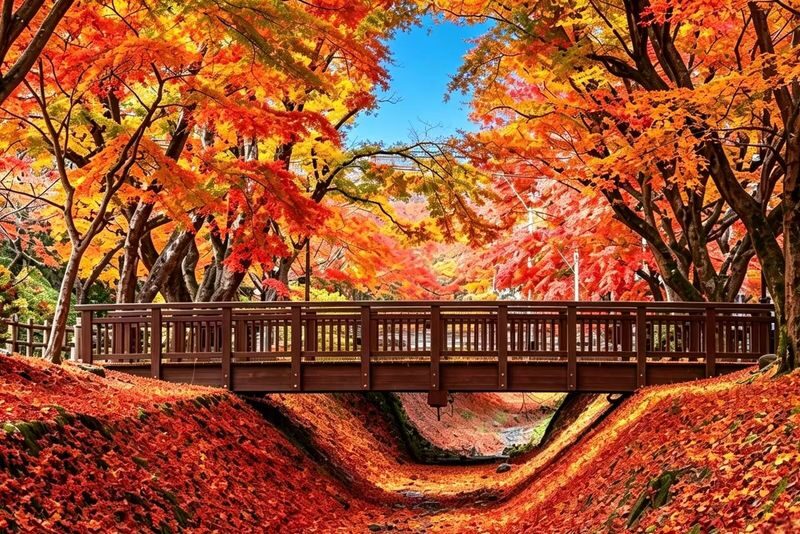 Mount Fuji Classic Twin Lakes Autumn Leaves Day Tour | Kawaguchiko Autumn Leaves Corridor & Lake Yamanaka Swan Boat Experience (Includes Swan Boat Ticket) | Departing from Tokyo - Who should book this Mount Fuji day tour?