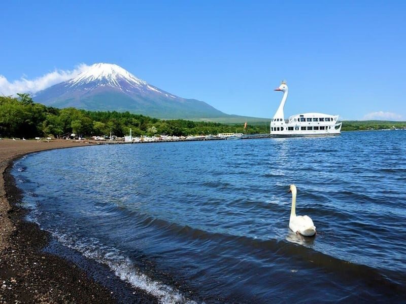 Mount Fuji Customizable One-Day Private Tour - Key points before you book