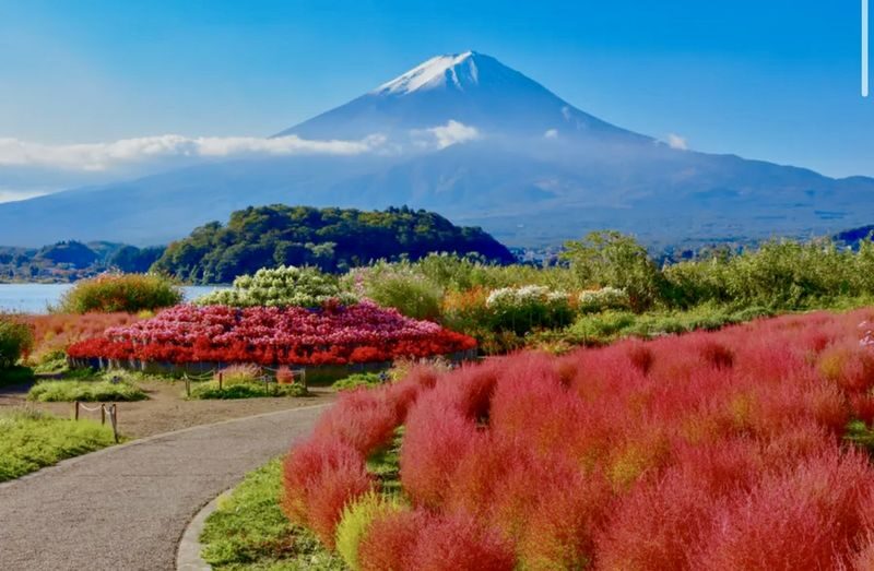 Mount Fuji Customizable One-Day Private Tour - Viewpoints reward a little patience
