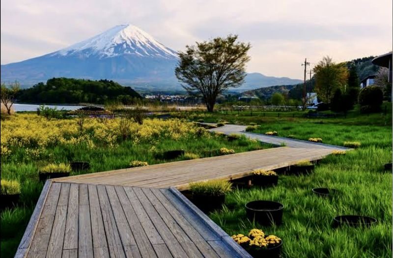 Mount Fuji Customizable One-Day Private Tour - Driver-guides make the difference